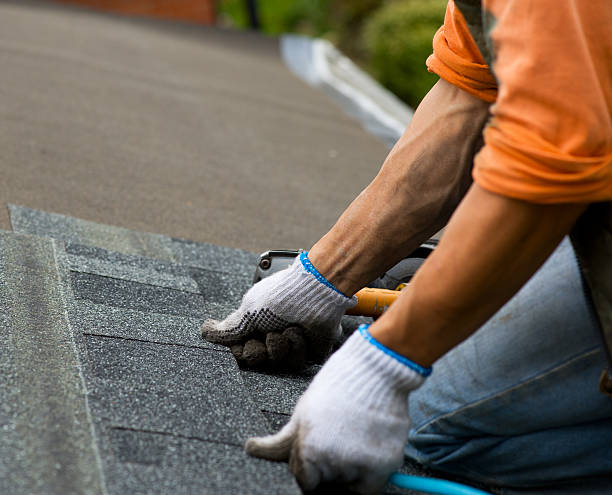 Best Metal Roofing Contractor  in Ridgely, MD